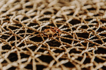 Female wedding frosted corrugated gold ring lie on male pair ring at the bottom of the white wooden background. Side view.