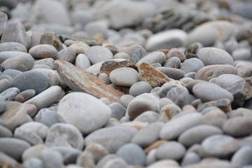 Guijarros en la playa
