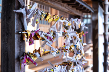 Fototapeta premium 神社のおみくじ