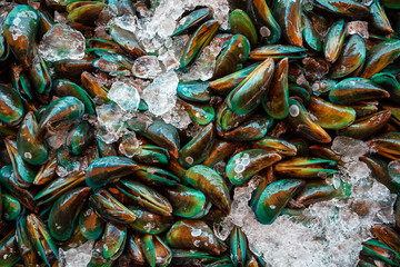 Fresh mussels are sold on the market.