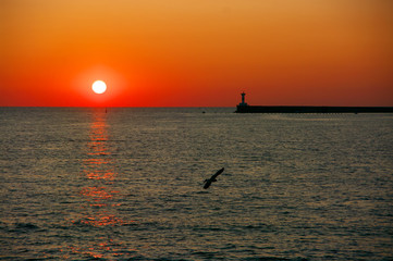 Sea shore landscape at sunset