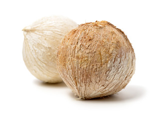 Coconut isolated on white Background 