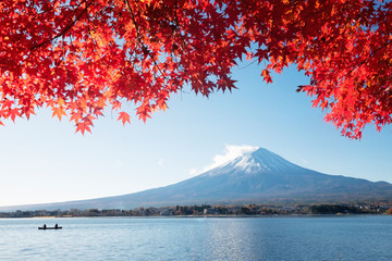 Fuji mountain and red maple in Autumn, Japan.