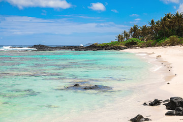 Beautiful tropical beach with sand, rocks, transparent ocean and blue sky of Mauritius