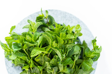 Garden mint