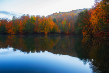 Autumn time. Colorful tree leaves, yellow, orange, red. Gorgeous view. Yedigoller National Park. Istanbul, Bolu, Turkey.