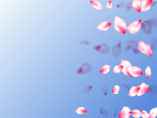 Spring tree flowers parts, airy flying petals