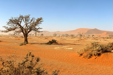 nAMIBIE