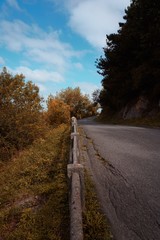 road with brown trees to the mountain in autumn