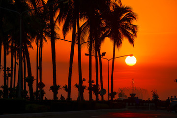 Silhouette of palm trees against a sunset ocean