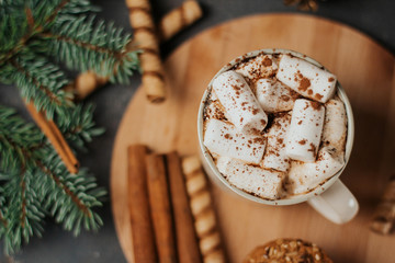 Cup of coffee or cocoa with marshmallows, cinnamon sticks and cookies on a wooden board with space for text. 