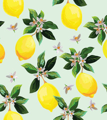 Seamless citrus vector pattern. Exotic background. Hand drawn illustration with lemons. Tropical fruit wallpaper.