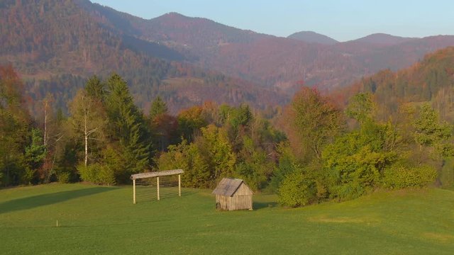 AERIAL: Flying around a small wooden cabin in the middle of a pasture in Bohinj on a sunny autumn evening. Colorful forests with turning leaves surround a small hut and a beautiful green meadow.