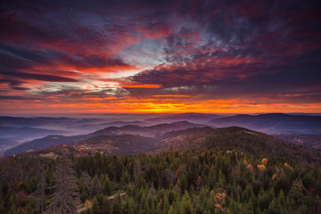 Gorce - Carpathians Mountains 