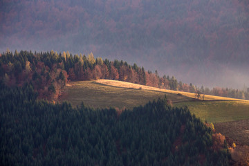 Gorce - Carpathians Mountains  © BARONPHOTOGRAPHY.EU