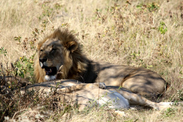 NAMIBIE