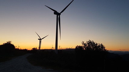 wind turbines at sunset