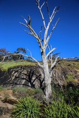 Whistlepipe Gully is part of the Mundy Regional Park, a stream tumbles down over a rocky, boulder strewn valley.There is a 3.5 kilometre walk trail that follows the stream