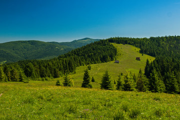 Gorce - Carpathians Mountains  © BARONPHOTOGRAPHY.EU