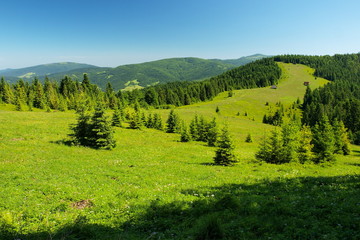 Obraz premium Gorce - Carpathians Mountains 