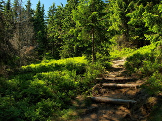 Gorce - Carpathians Mountains  © BARONPHOTOGRAPHY.EU