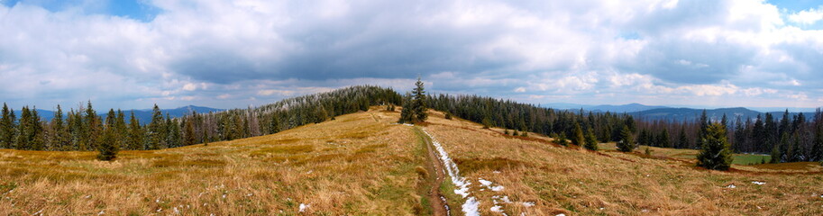 Fototapeta na wymiar Gorce - Carpathians Mountains 