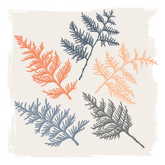 Set of illustrations with sprigs of evergreen tree. Freehand drawing. Can be used for scrapbook, postcards, print, etc.