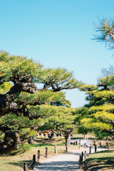 Japanese traditional garden