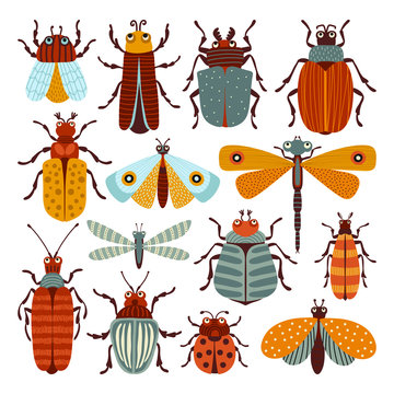 Set of illustrations with beetles and butterflies. Can be used for scrapbook, postcards, print, etc.