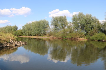 Fototapeta na wymiar Landschaft am Fluss Aller