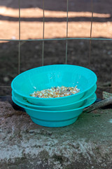 Naklejka premium A Food Bowl
