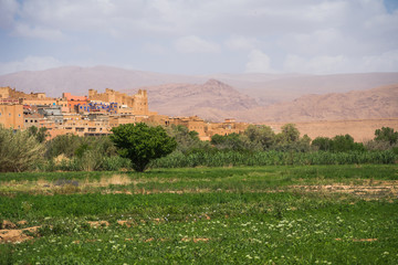 Fototapeta na wymiar View of Tinghir city and a plain green oasis in front of the moroccan traditional village