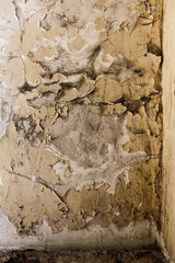 Prison wall with traces tags old painted wall abandonned