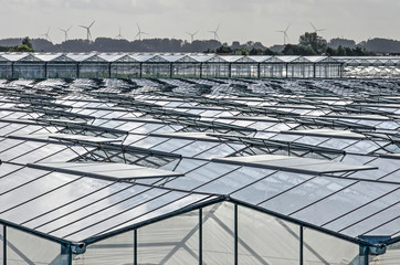 's-Gravenzande, The Netherlands, September 28, 2019: industrial landscape in the Westland...