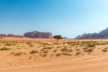 desert wadi rum jordan