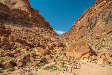 desert wadi rum jordan