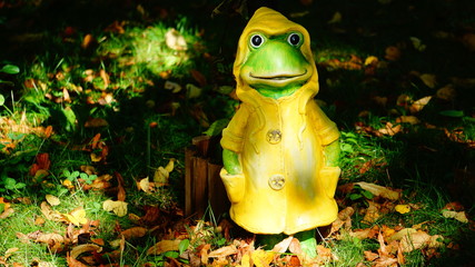 Wetterfrosch