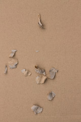 carton déchiré
