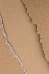 Cardboard Backdrop