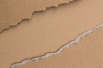 Torn cardboard in relief background texture