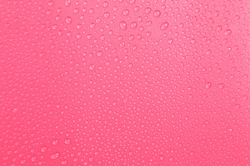 Close up water drops on pink background, Water drop in macro photography