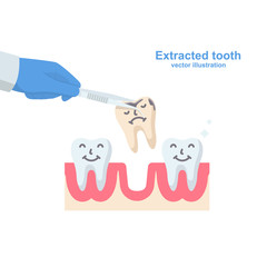 Extracted tooth in tongs. Dentist pulls out sick tooth. Stamatologic concept. Remove root. Vector illustration flat design. Isolated on background. Tweezers in hands.