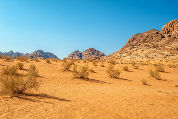 desert in wadi rum jordan