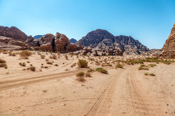 desert in wadi rum jordan