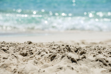 on the beach