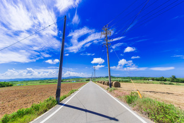 小浜島の風景