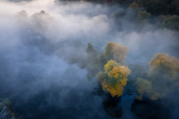Autumn nature aerial view. Yellow autumnal trees in fog from above. October nature landscape in misty morning. Autumn background over mist river