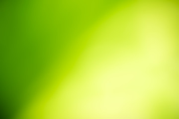 Beautiful abstract lights of green nature using as background or wallpaper concept.