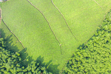 small village with farm