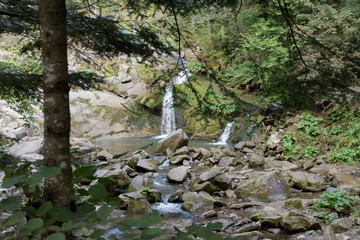 Fototapeta premium Small Waterfall Carpathian Mountains. Small Waterfall in the wood